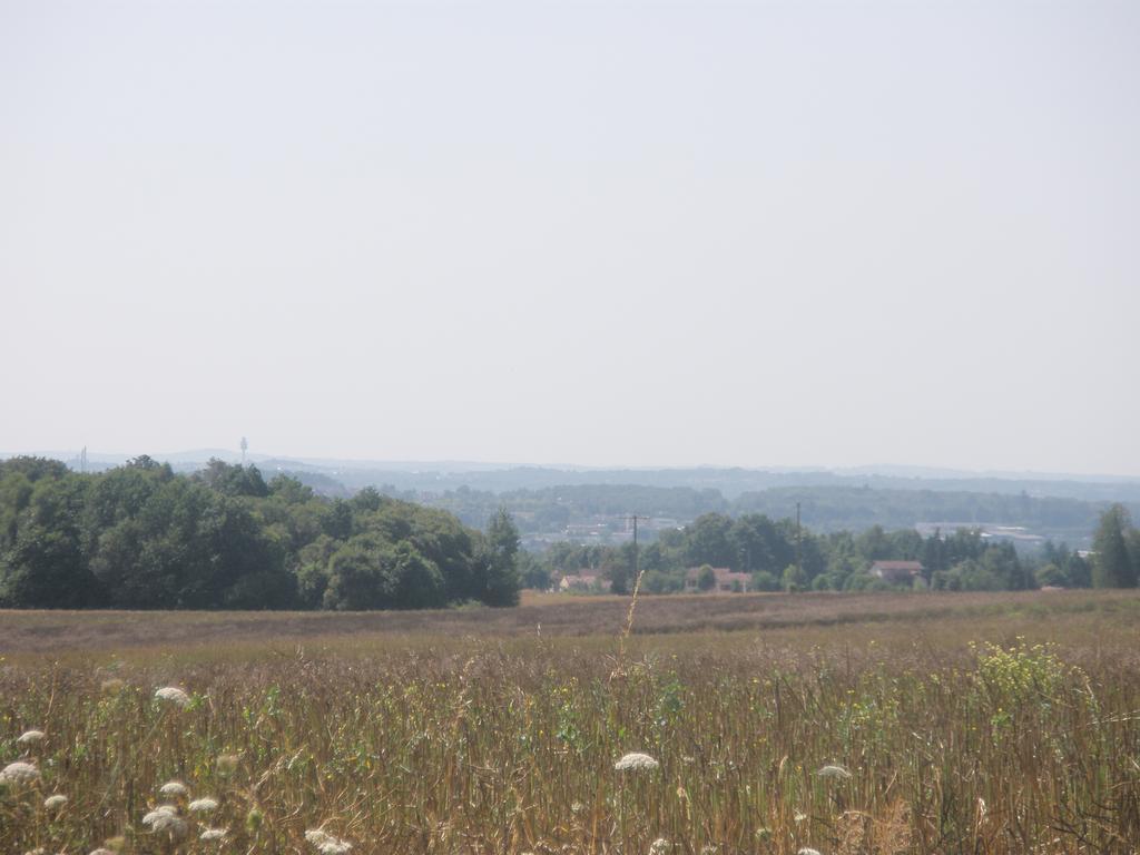 לינה וארוחת בוקר Bonnac-la-Côte La Ferme De Leychoisier מראה חיצוני תמונה